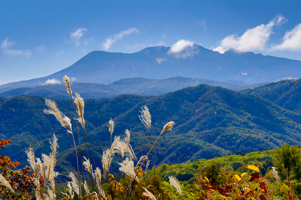 すすきと望む御嶽山