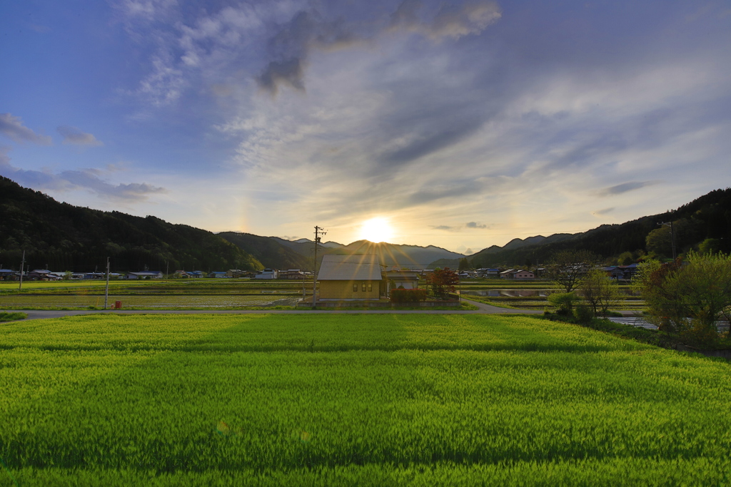 コロナの夜明けはまだ遠く