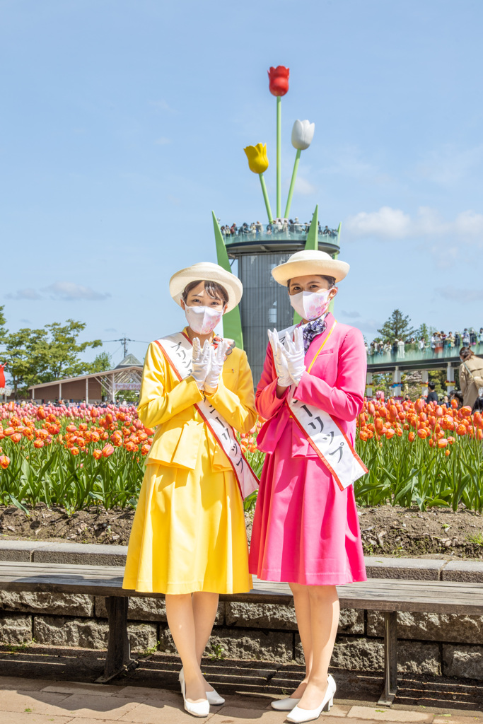 プリンセスチューリップ
