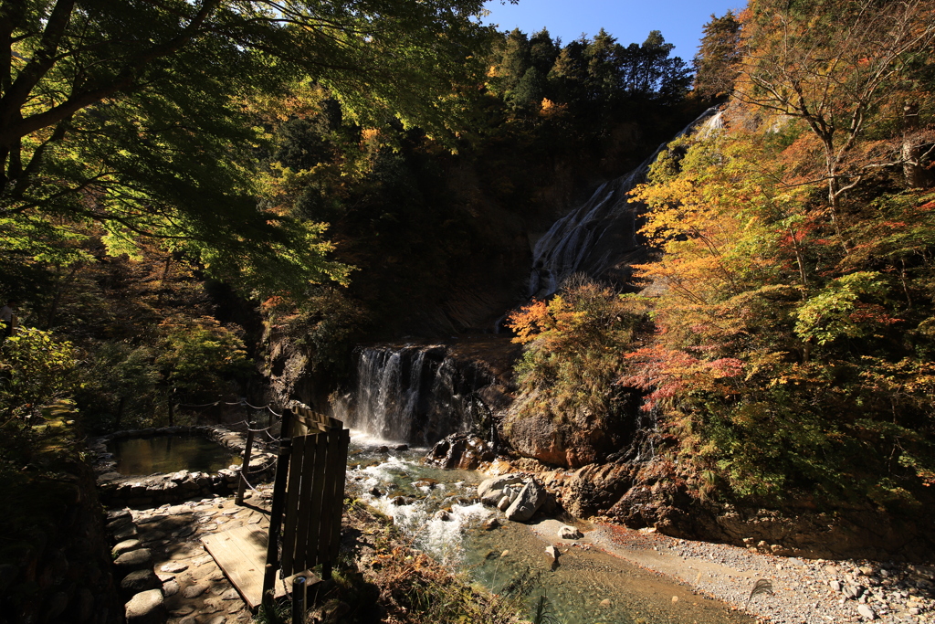 白山ホワイトロード