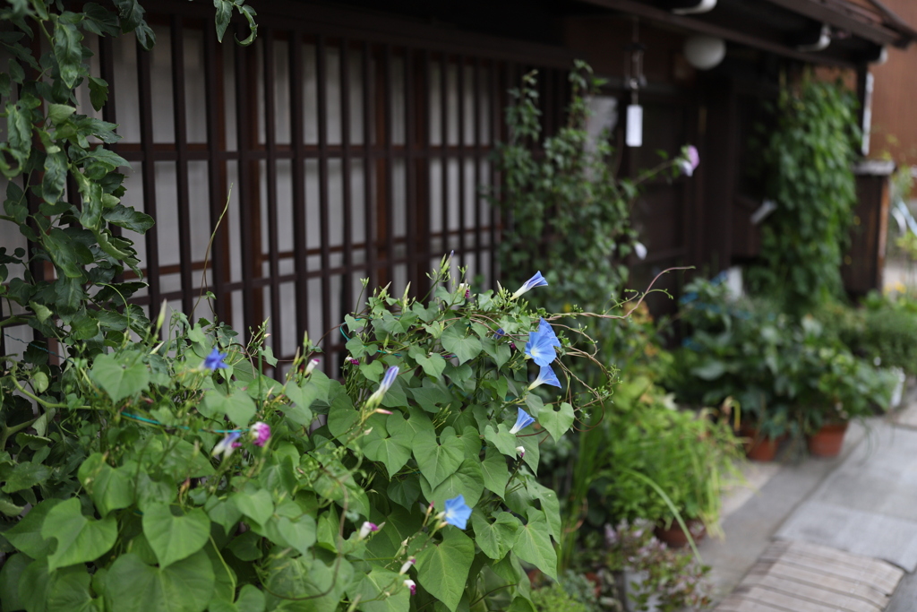 20190818061748_IMG_3682