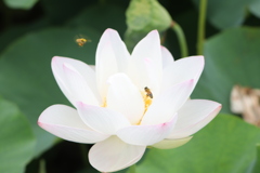 20190713074841_IMG_2740