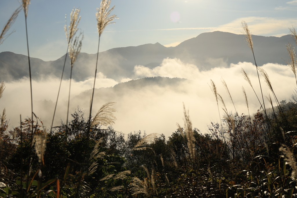 白山ホワイトロード