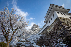 郡上八幡城　冬