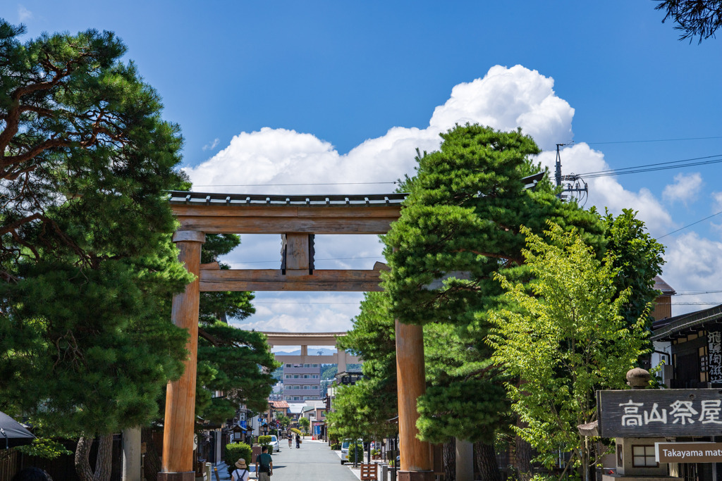 高山の夏