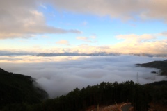 雲海