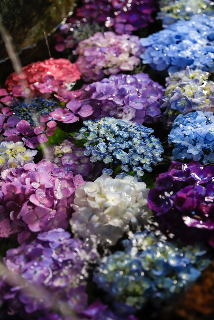 花手水