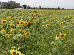 20190728113557_IMG_3119