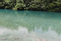 20190707104000_IMG_2698