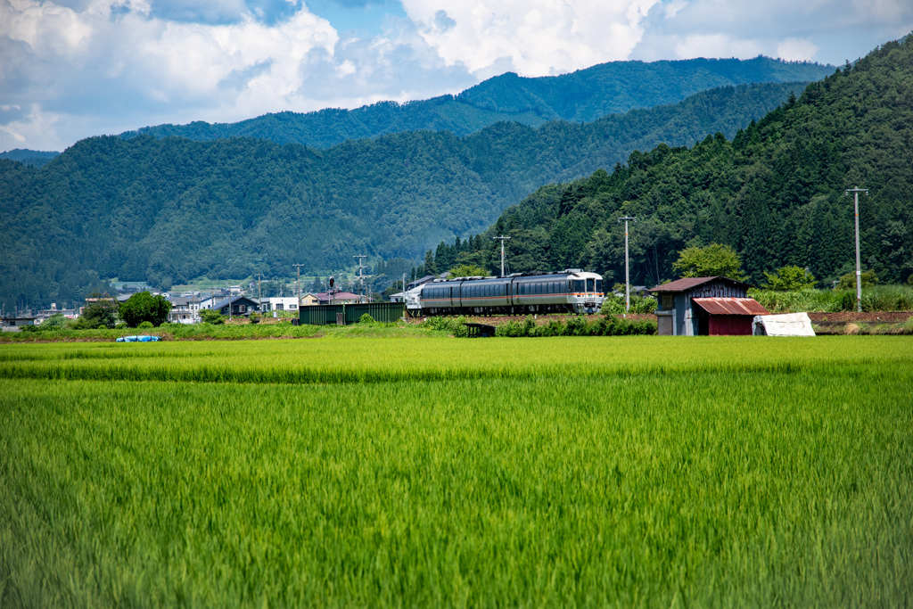 田園列車　夏