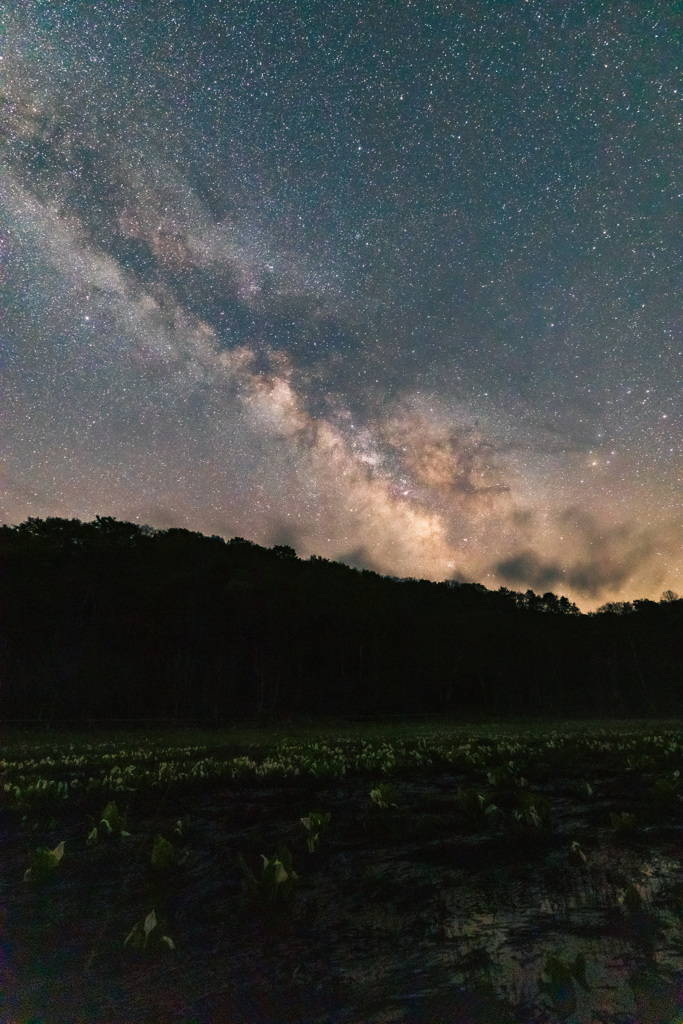 湿原の夜