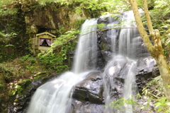 20190526111928_IMG_2478