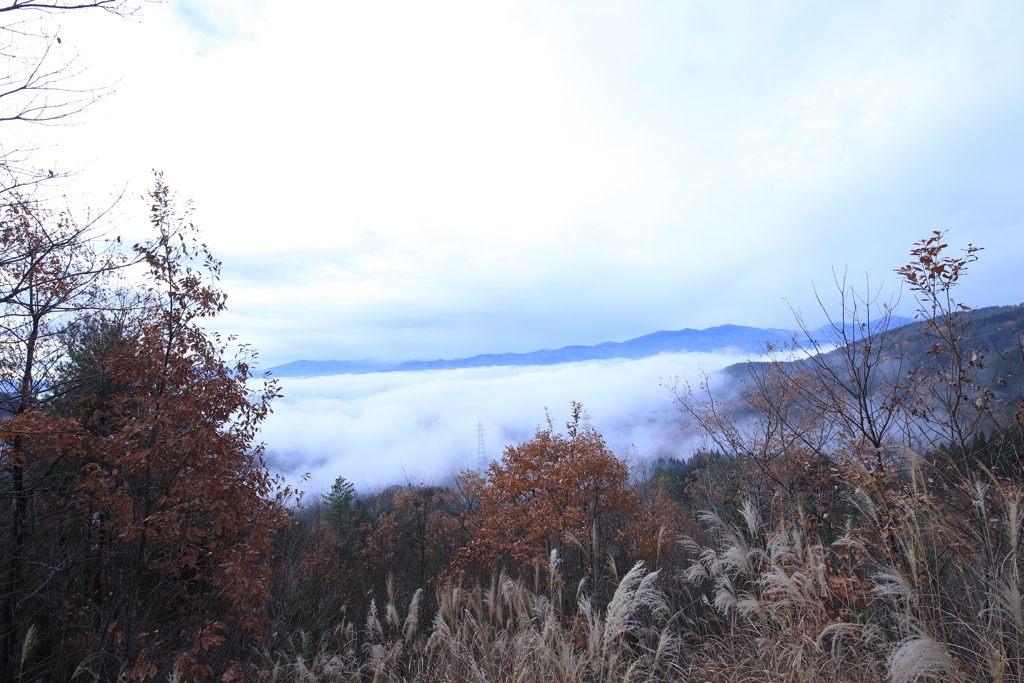 家から20分の雲海