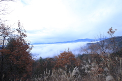 家から20分の雲海