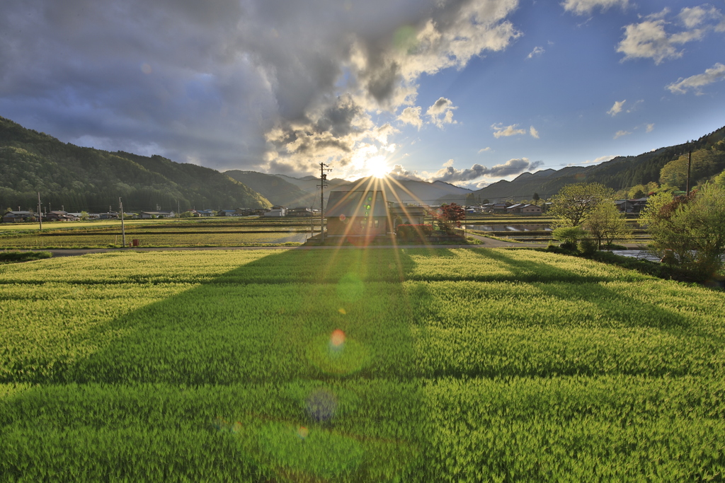 写真取りに行きたい