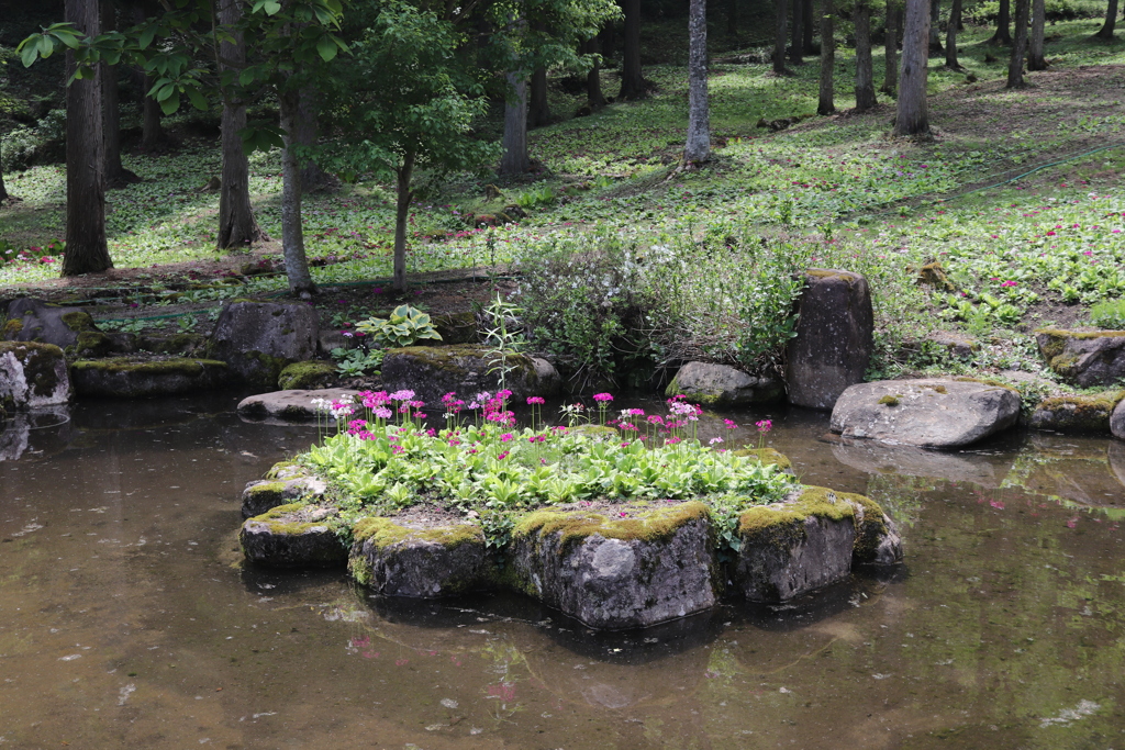 20190526103659_IMG_2437