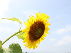 20190728112509_IMG_3104