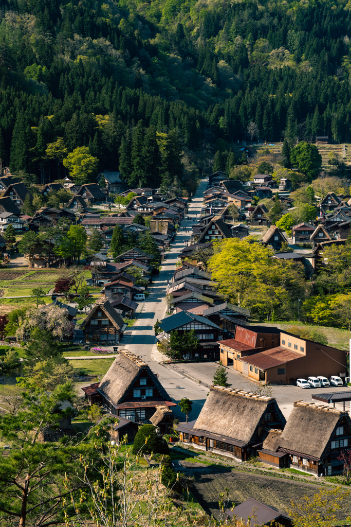 五月の白川郷