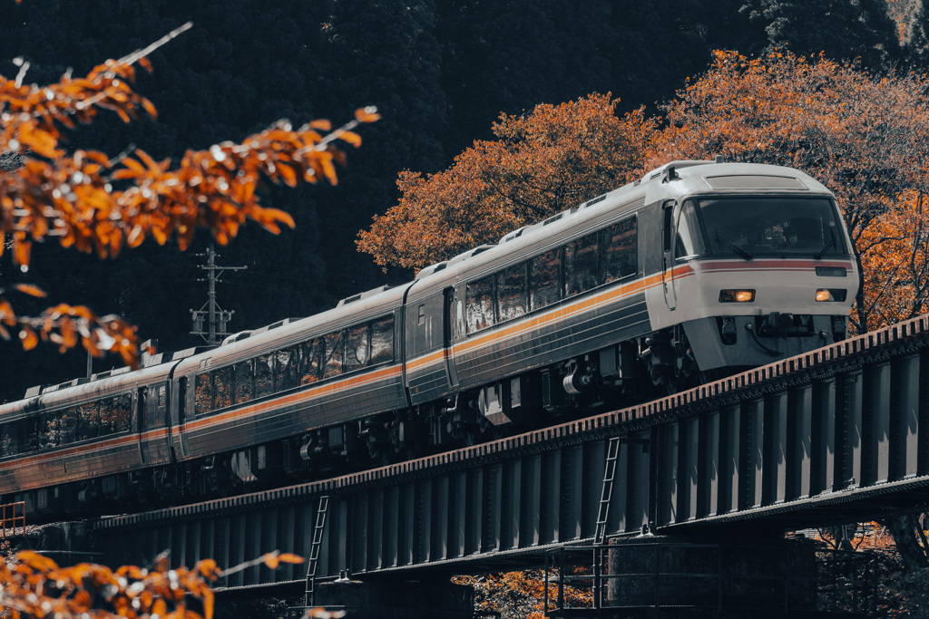 秋の高山線