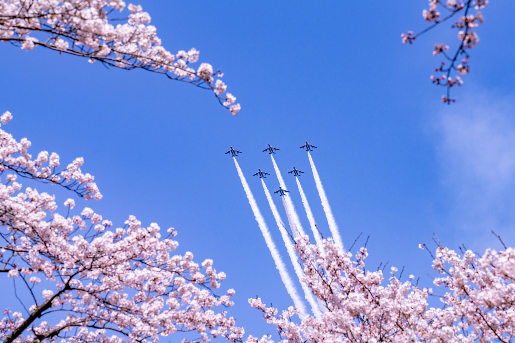 今日の空はとても賑やかでした。
