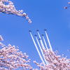 今日の空はとても賑やかでした。