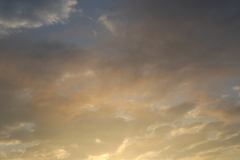 20190825060347_IMG_3915
