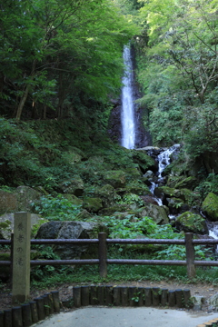 養老の滝