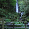 養老の滝