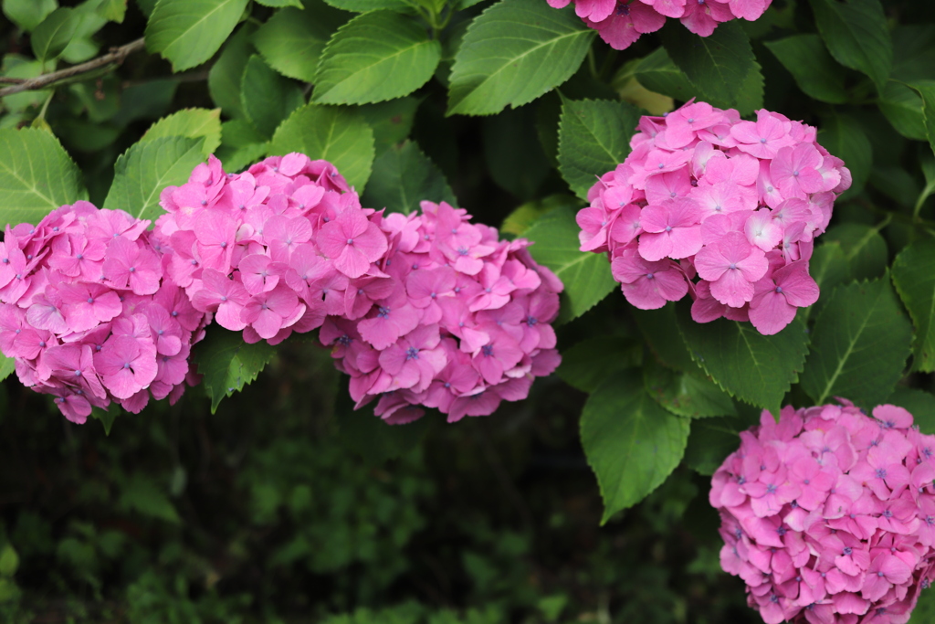 20190707101859_IMG_2683