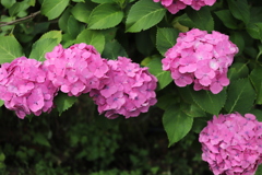 20190707101859_IMG_2683