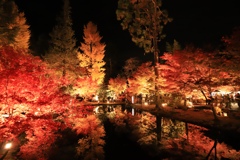 曽木公園