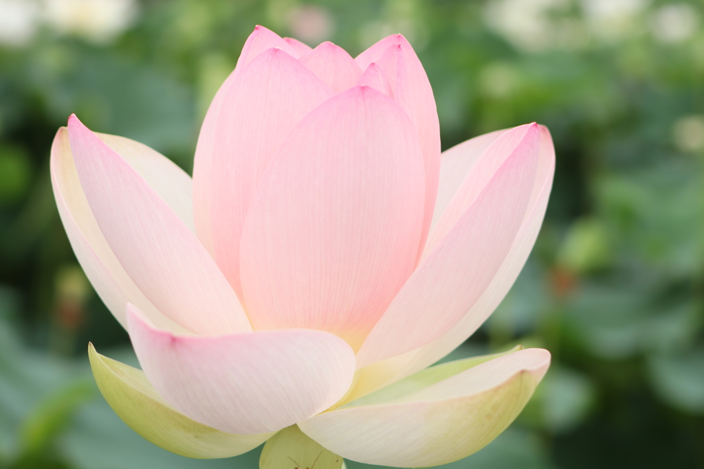 20190713074716_IMG_2736