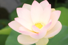 20190713075127_IMG_2745