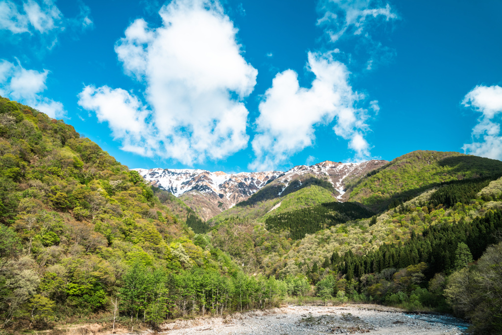 新緑の山
