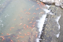 20190818064823_IMG_3730