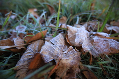 白山ホワイトロード