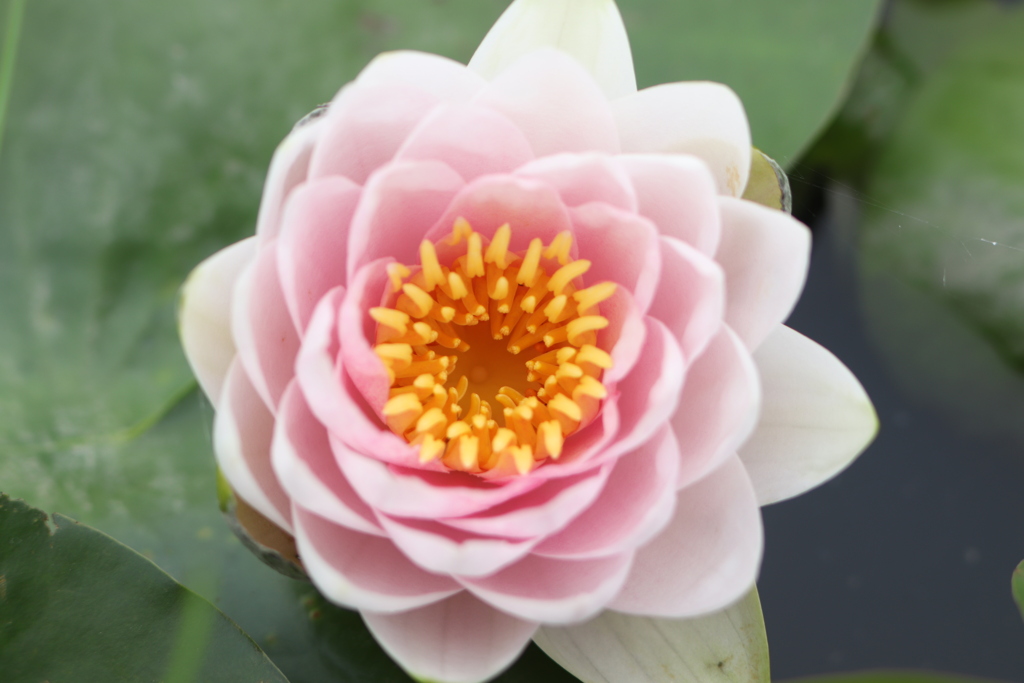 20190713075754_IMG_2752