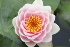 20190713075754_IMG_2752