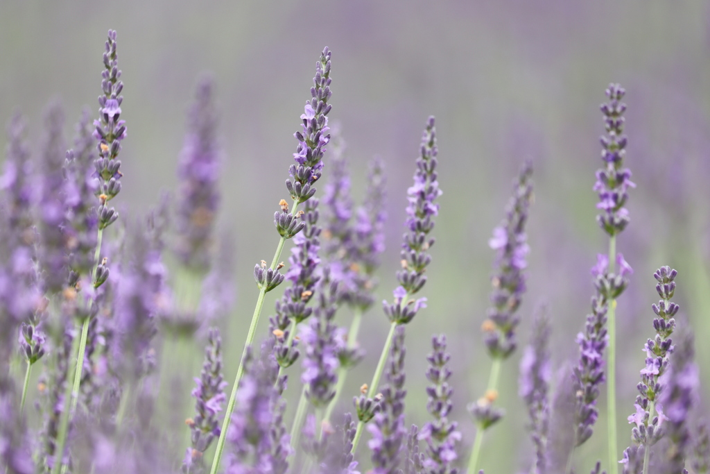 20190714111449_IMG_2908