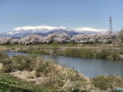 9A9400A2-8403-4F1F-8B48-D26A503A5B04