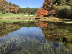 C23F893C-C68D-48C3-A8BB-68FC22A9ECD3