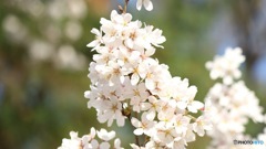 16E6F527-9F0A-4D94-8F84-008E936944F8