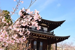 あこがれのばしょ