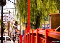 大岡橋