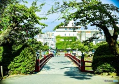 小田原城公園