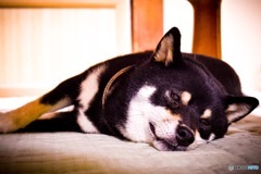 眠くなってきたぁ。