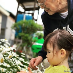 ひ孫とお花摘み