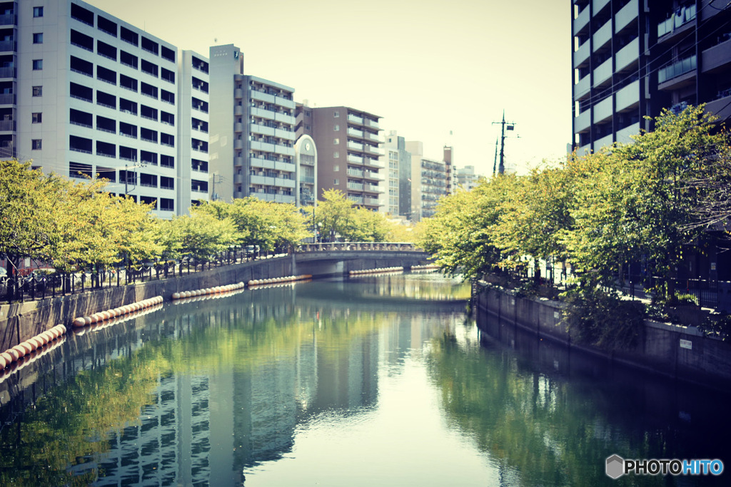 大岡川