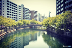 大岡川