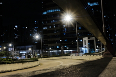遺午
